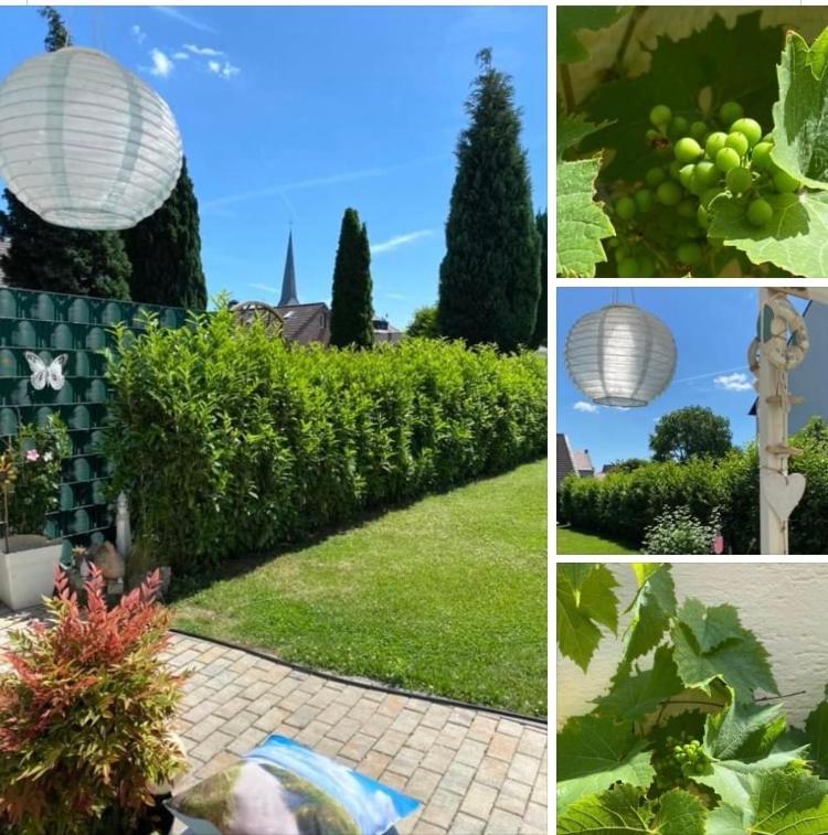 Apartment Glesch Bergheim  Kültér fotó